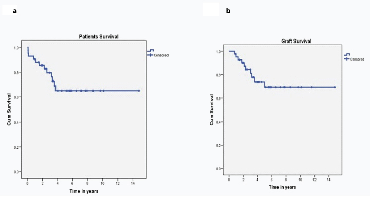 [Table/Fig-4]: