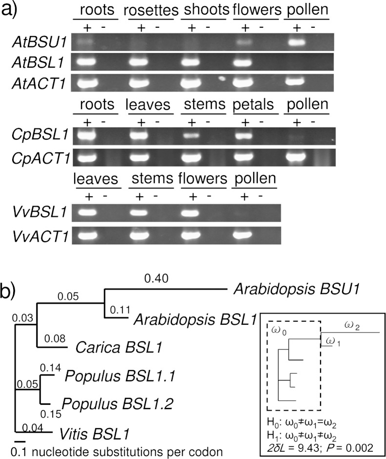 FIG. 8.—