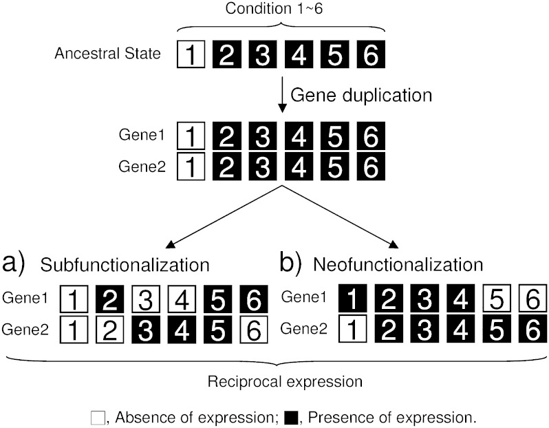 FIG. 1.—