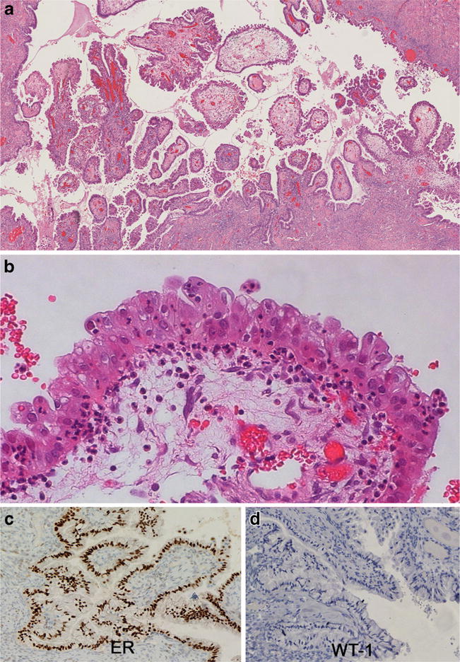 Fig. 5