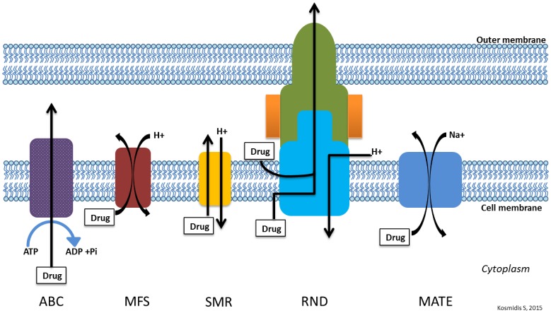 Figure 3.