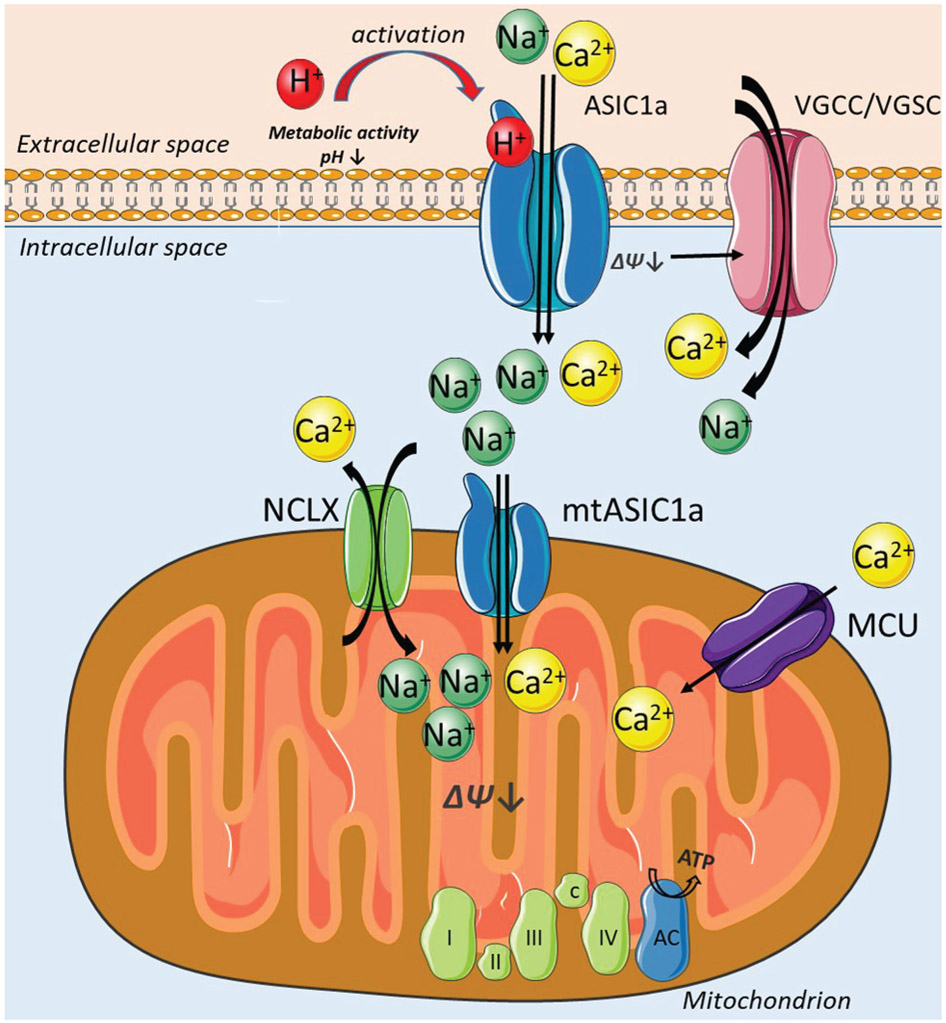 Figure 6.