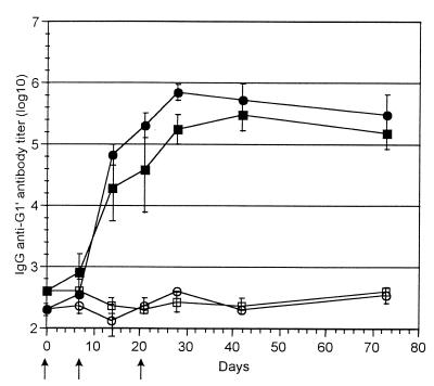 FIG. 1