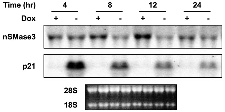 FIGURE 4