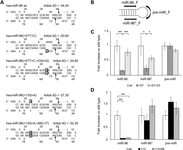 Figure 2.