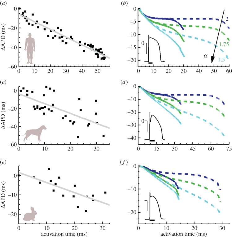 Figure 4.