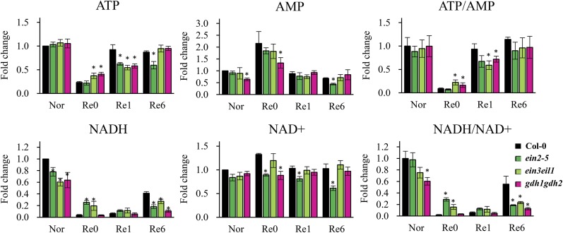 Figure 6.