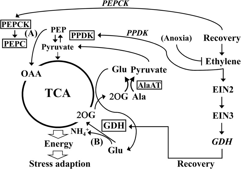 Figure 9.