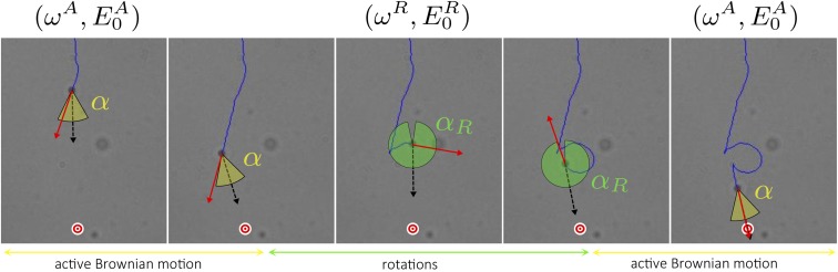 Fig. 4.