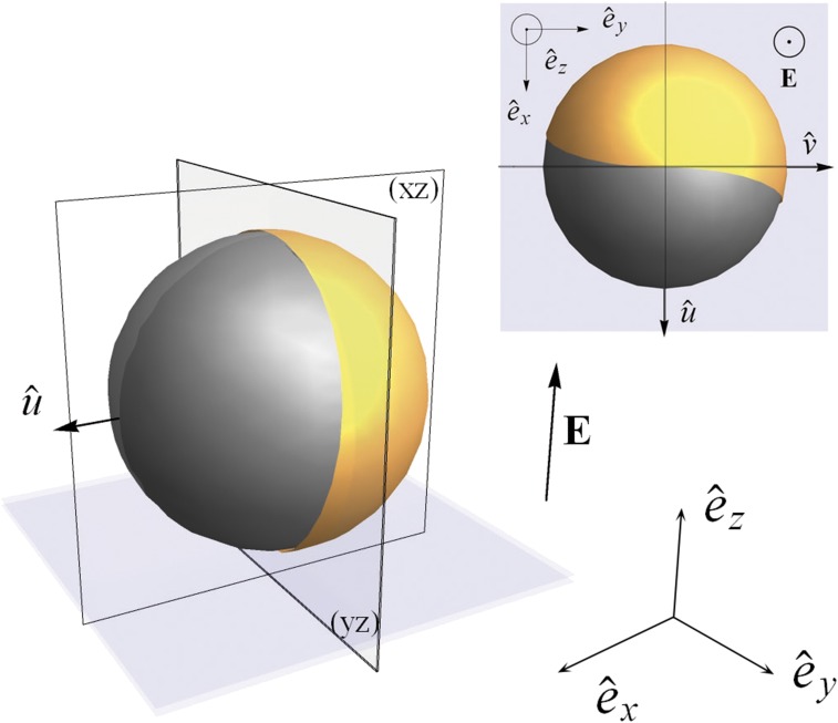 Fig. 1.