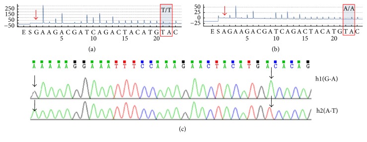 Figure 6