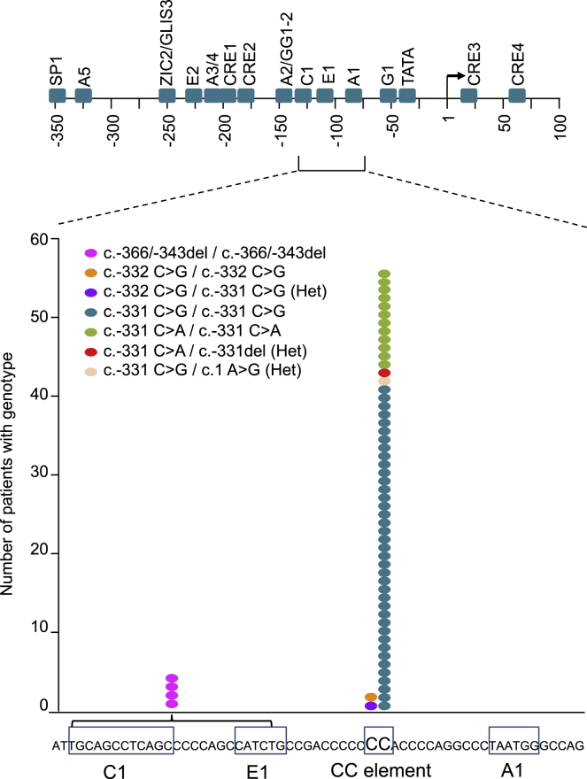 Figure 1