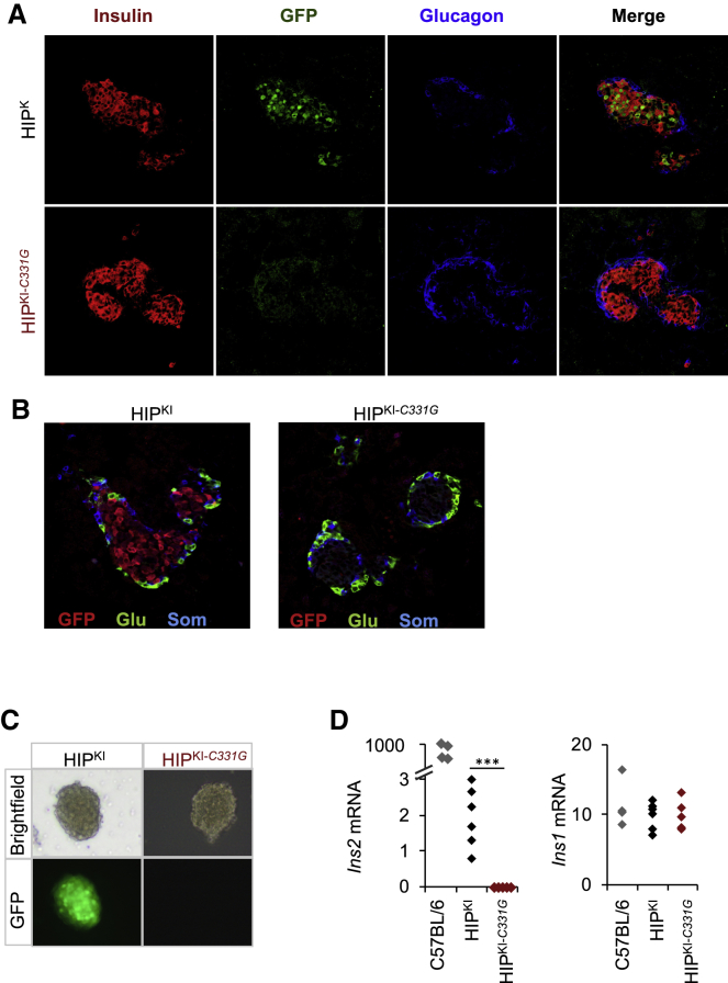 Figure 3