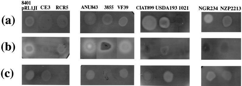 FIG. 8