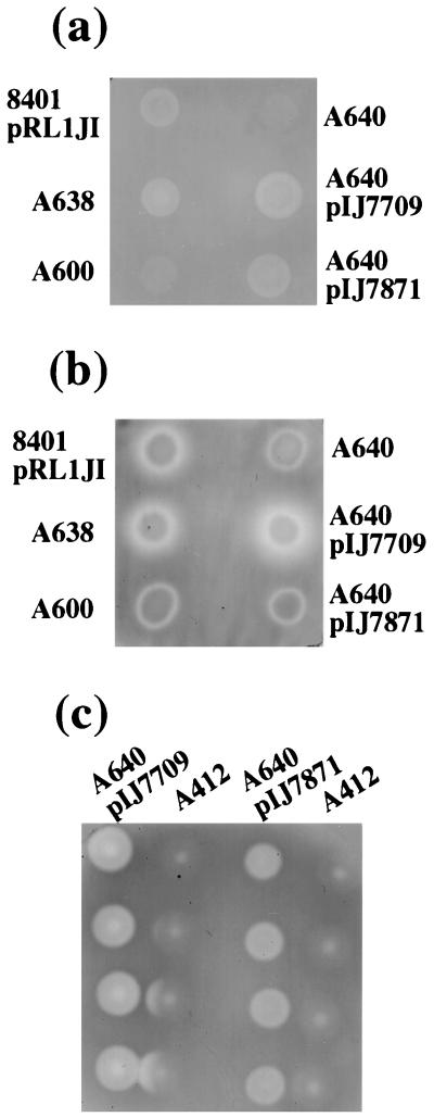 FIG. 6