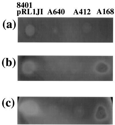 FIG. 5