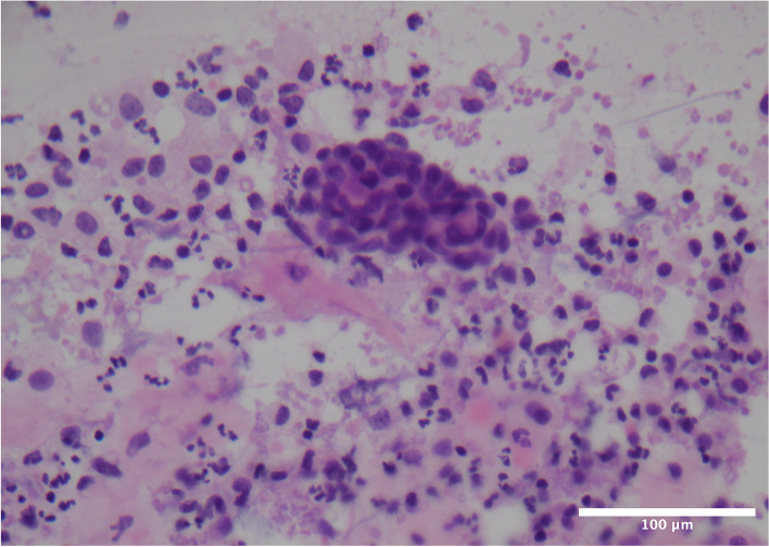 Fig. 2