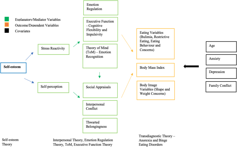 Figure 1