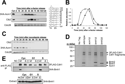 FIG. 2.