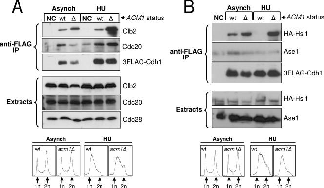 FIG. 4.