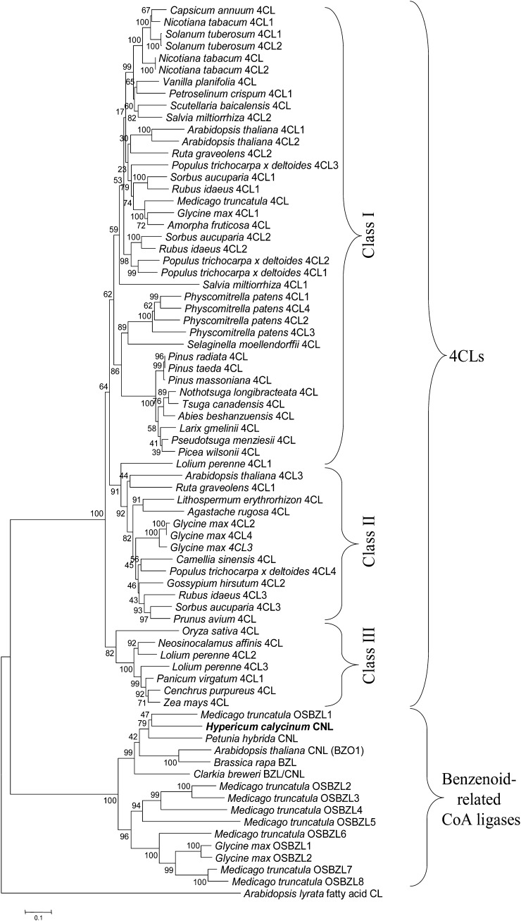 Figure 7.