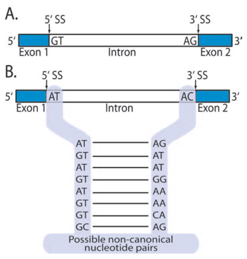 FIG 1