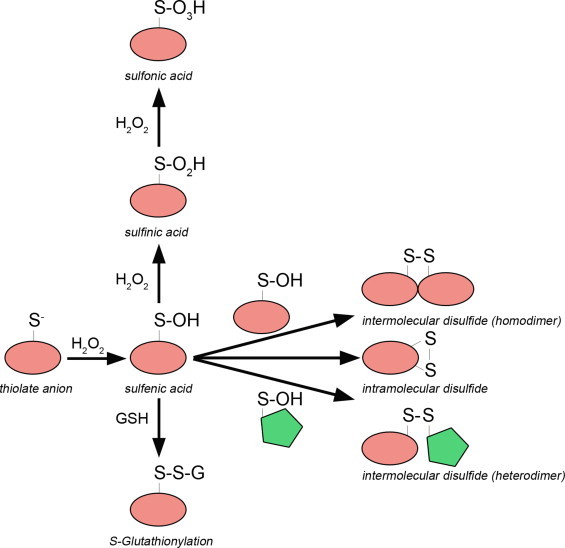 Fig 2