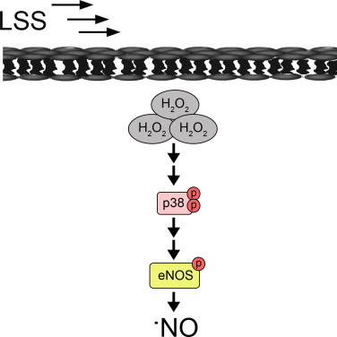 Fig 3