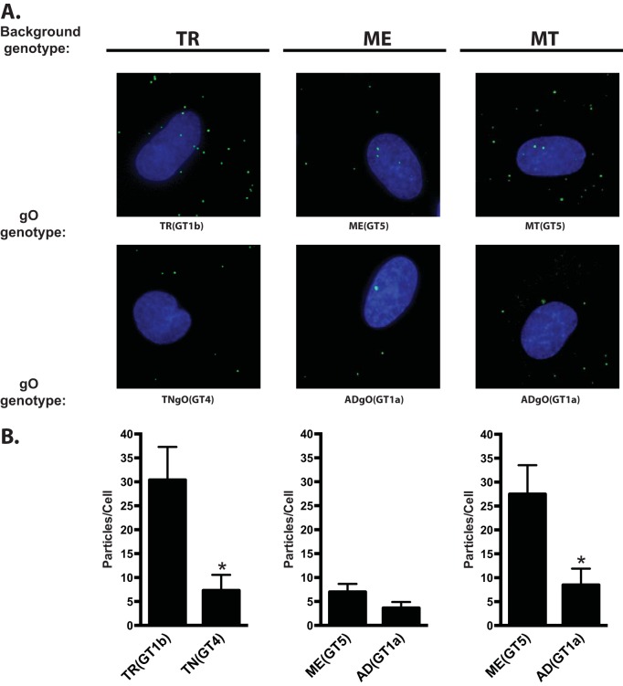 FIG 4