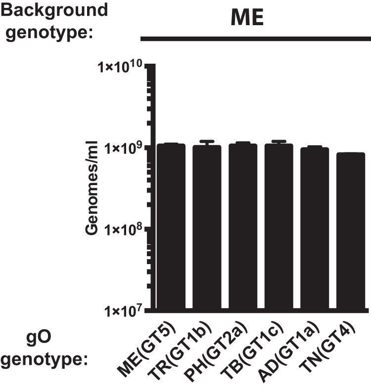 FIG 8