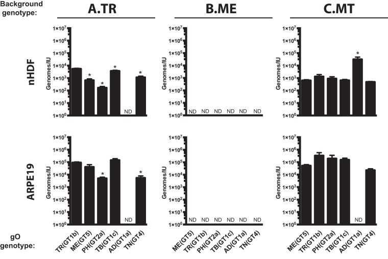 FIG 3