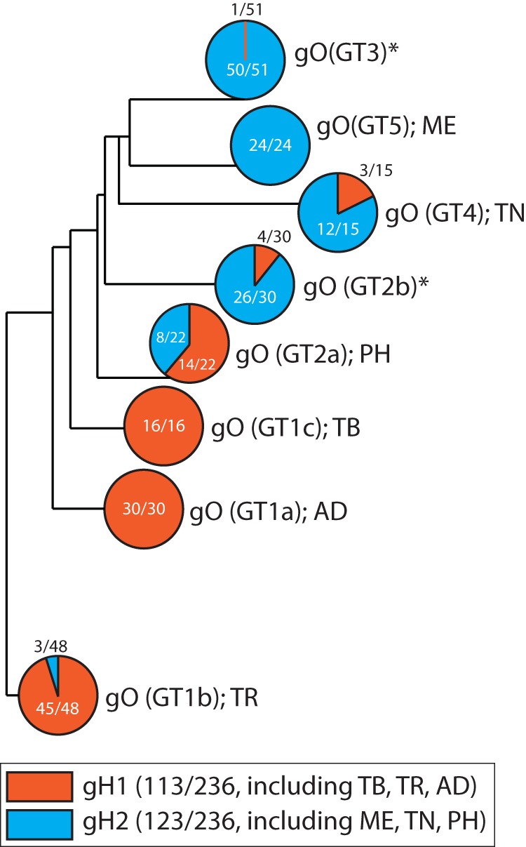 FIG 11