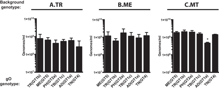 FIG 6