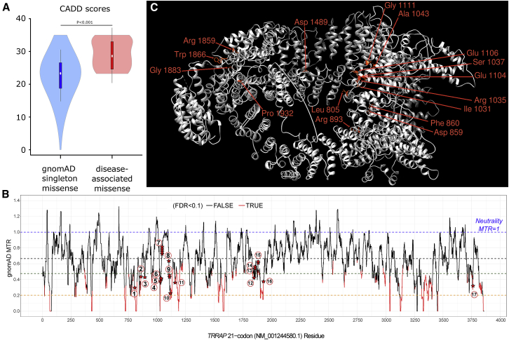 Figure 2