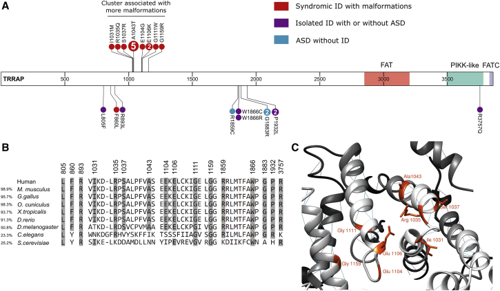 Figure 1