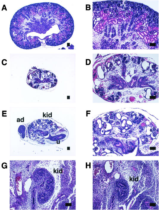 FIG. 5.