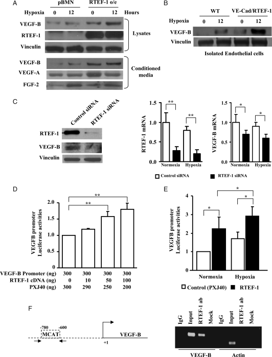 Figure 4