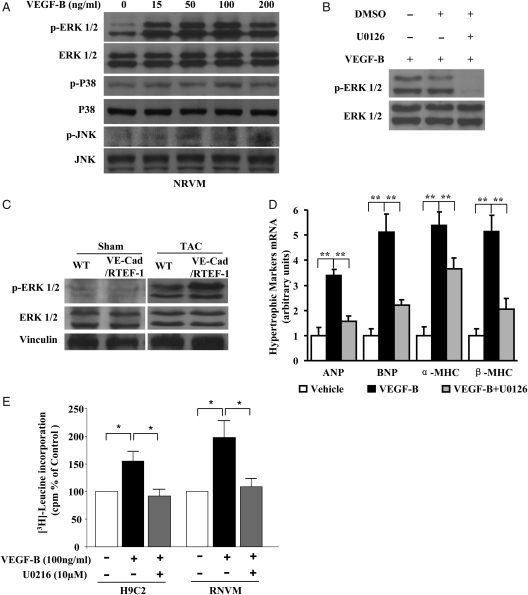 Figure 6