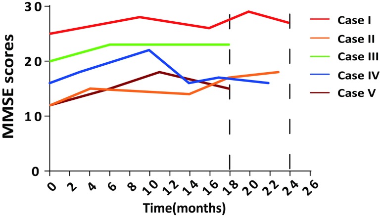 Fig. 1