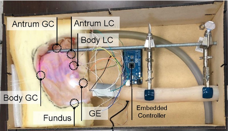 Fig. 3