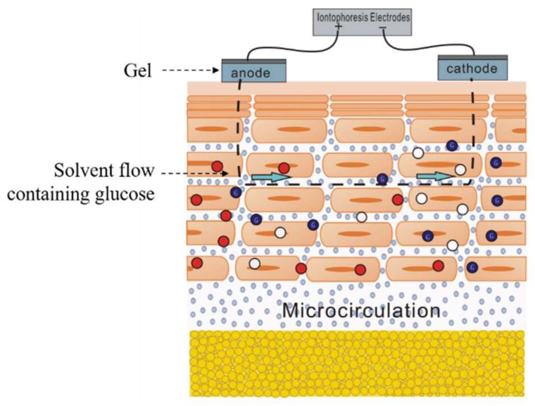 Figure 7