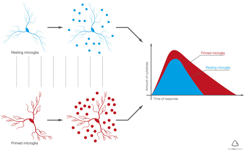 Figure 4.