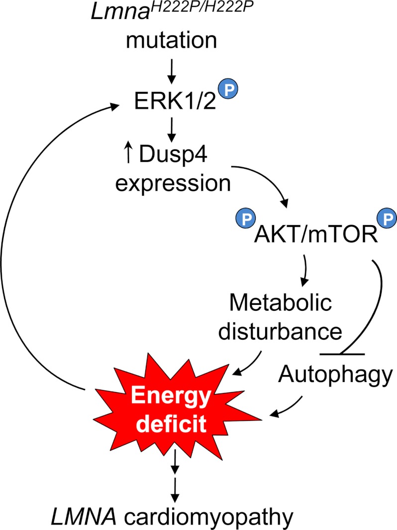 FIGURE 9.