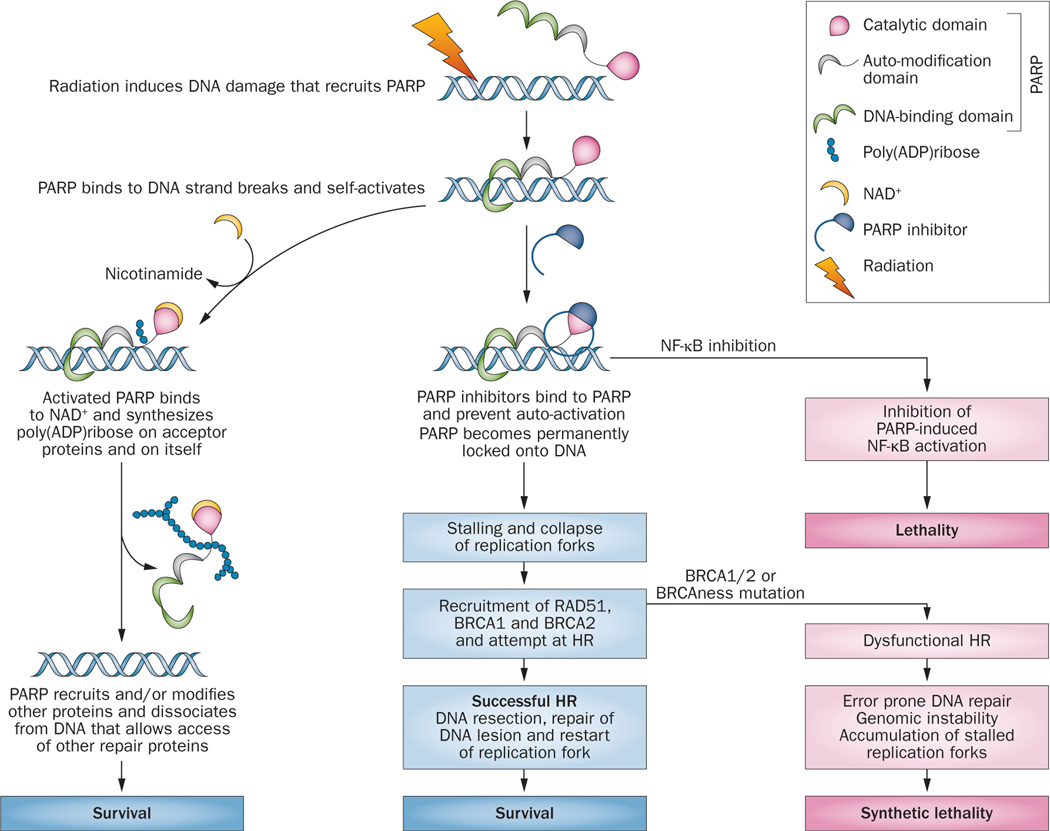 Figure 2 |