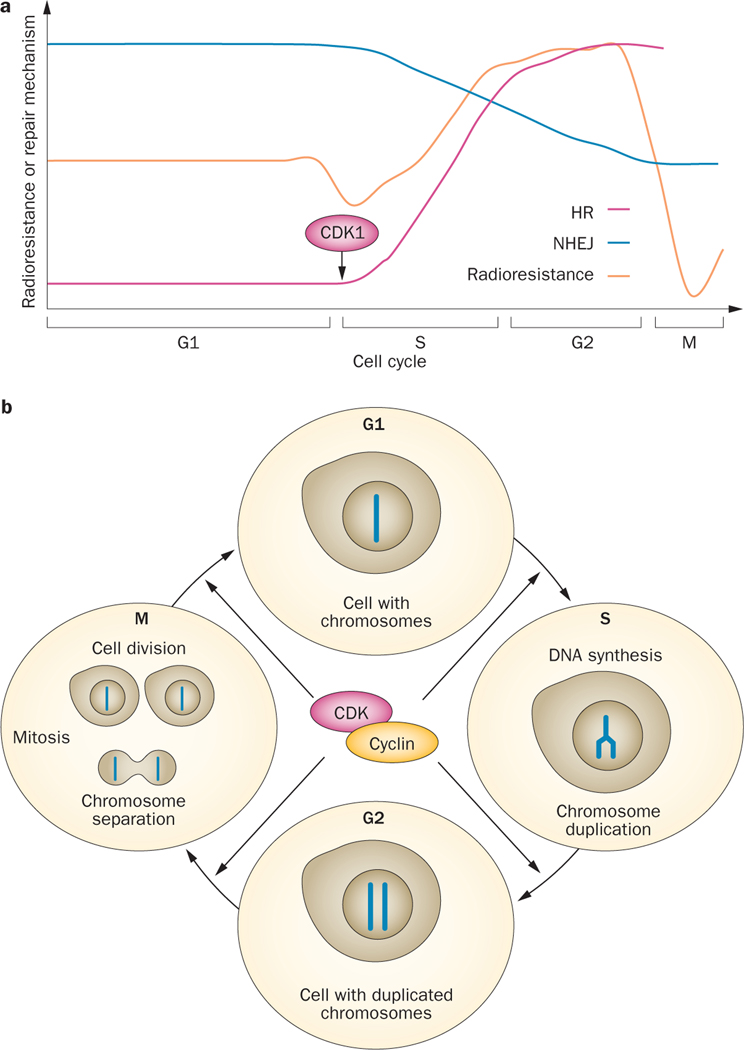 Figure 1 |