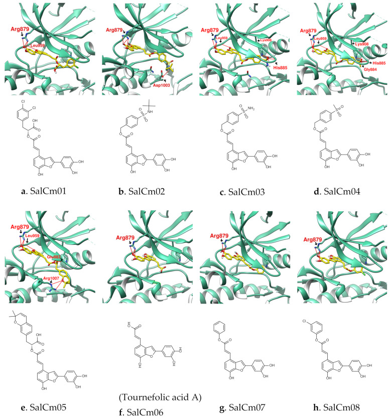 Figure 6