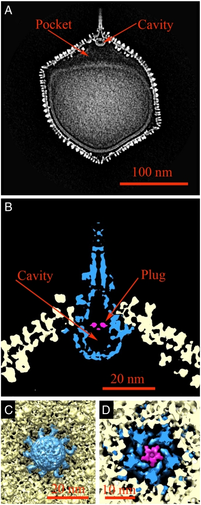 Fig. 3.