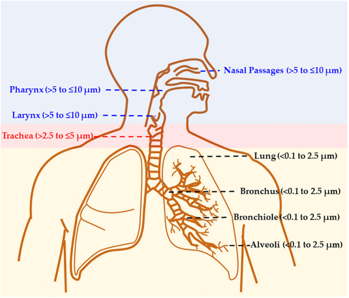 FIGURE 2