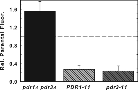 FIGURE 5.