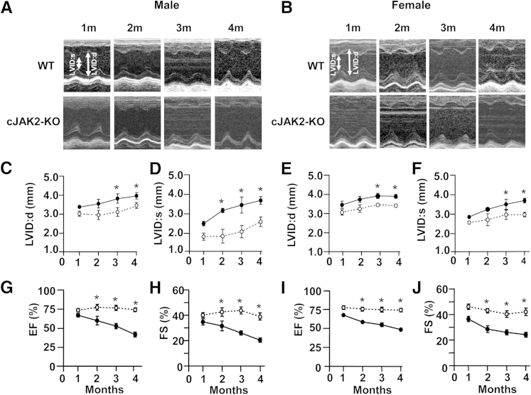 Figure 4